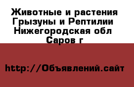 Животные и растения Грызуны и Рептилии. Нижегородская обл.,Саров г.